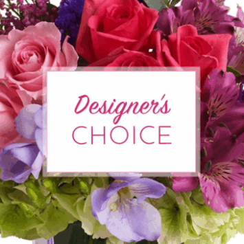 Designer's Choice Vased